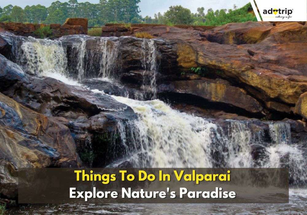 Best Things To Do In Valparai